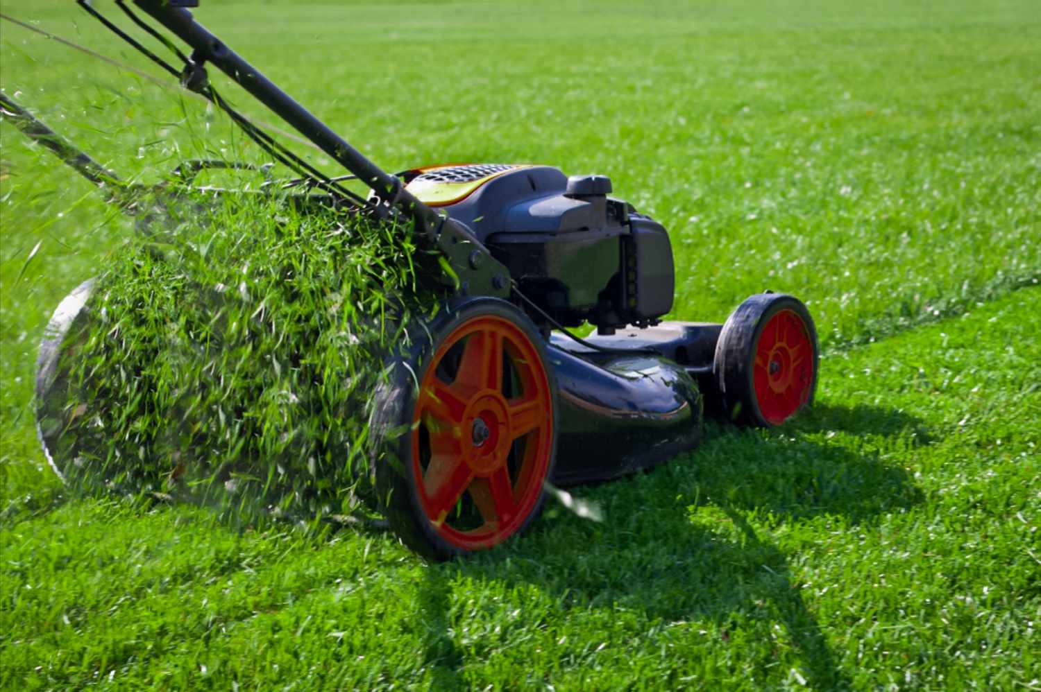 Lawn Care